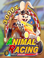 เว็บ พนัน 123: แนะนำแหล่งเดิมพันออนไลน์น่าสนใจ